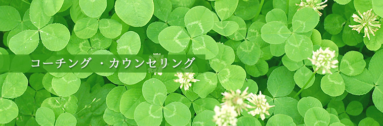 �L�����A�E�J�E���Z�����O